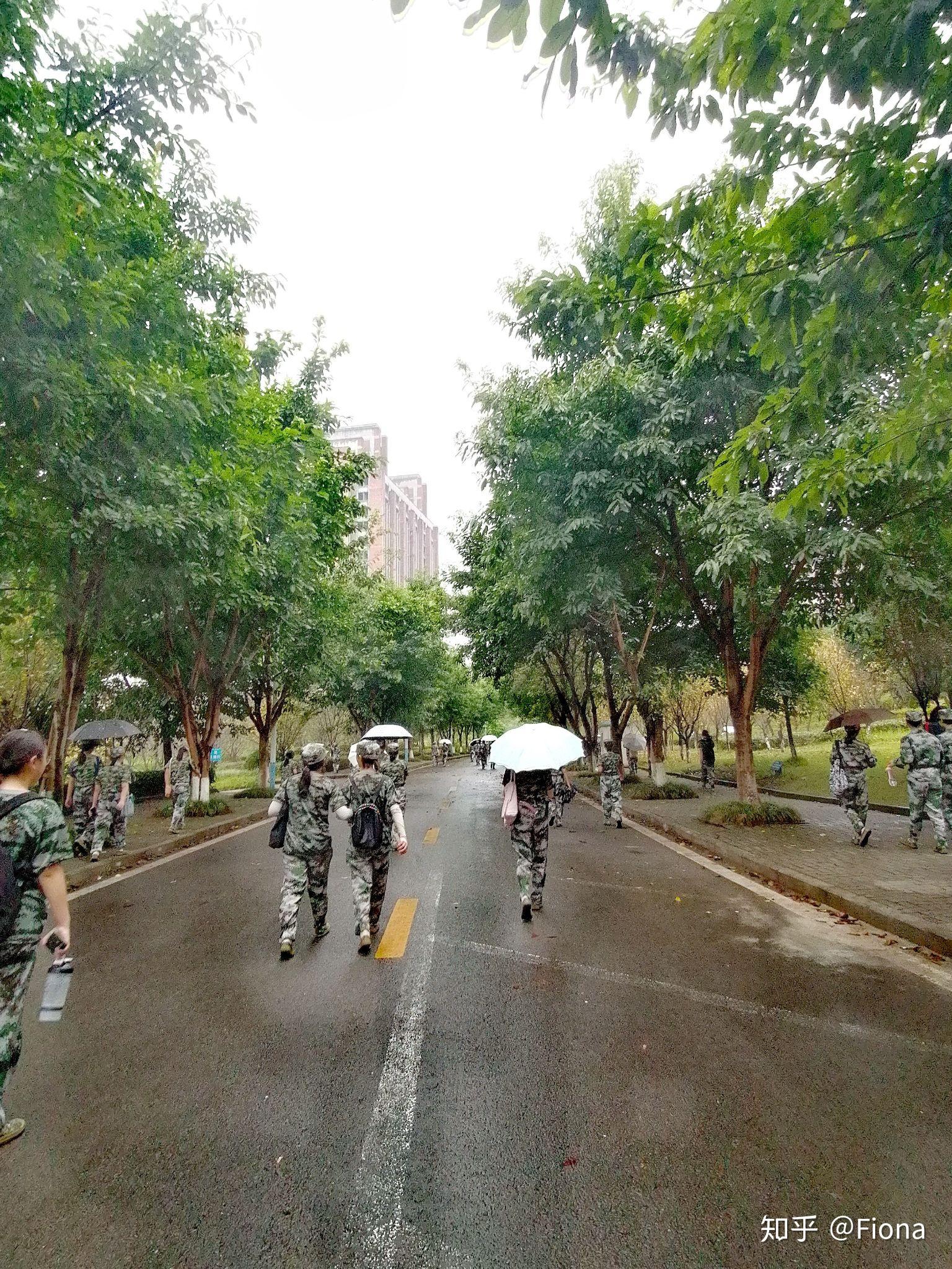 南方翻译学院毕业后(南方翻译学院就业如何) 南方翻译学院毕业后(南方翻译学院就业如何)