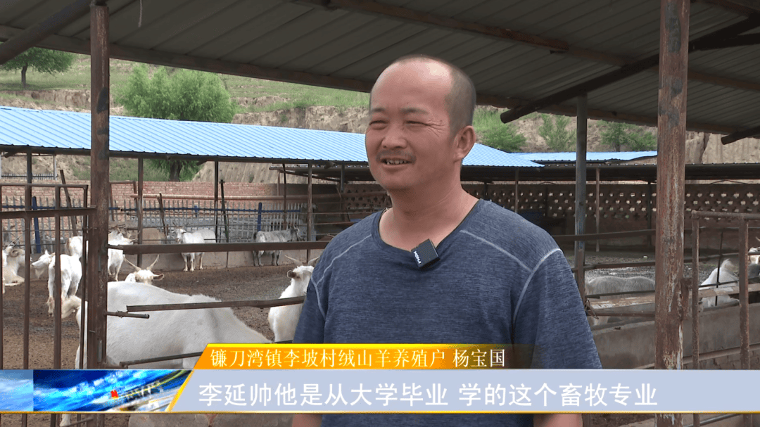 90后大学毕业当村书记(90后大学毕业当村书记的人) 90后大学毕业当村书记(90后大学毕业当村书记的人)