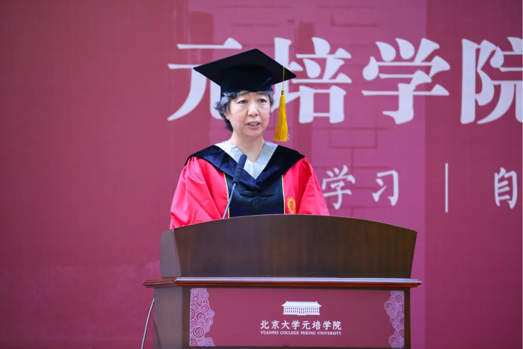 元培学院毕业后(元培学院有多厉害)