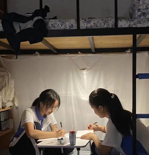 大学毕业后回家做什么工作(大学毕业后是应该回家乡还是去远方)