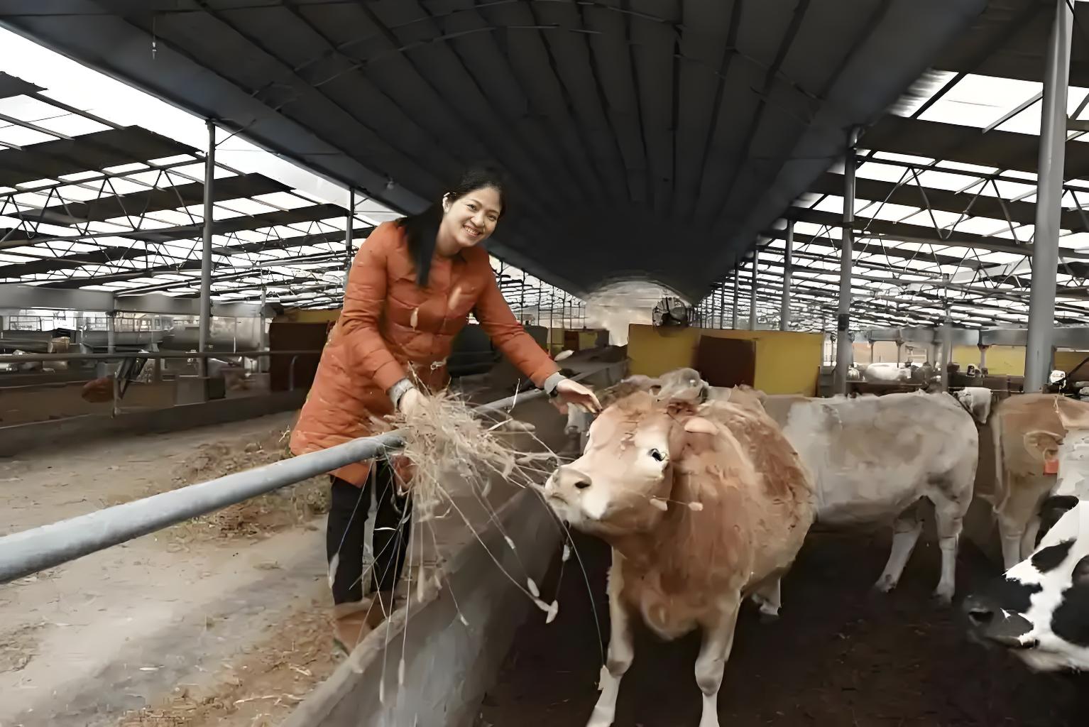 大学毕业后回家创业好吗(大学毕业生毕业后想回家乡创业,应该享有哪些优惠政策?)
