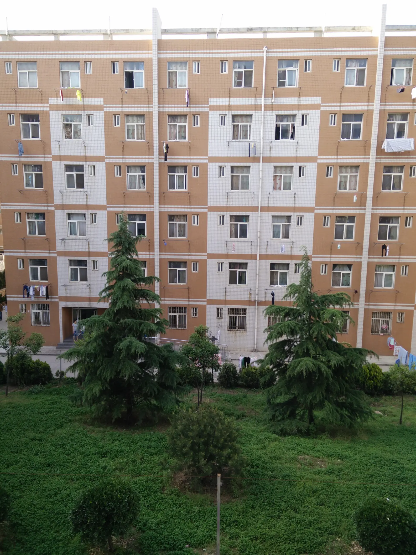 西法大公安学院毕业后(西北政法大学公安学院就业方向)