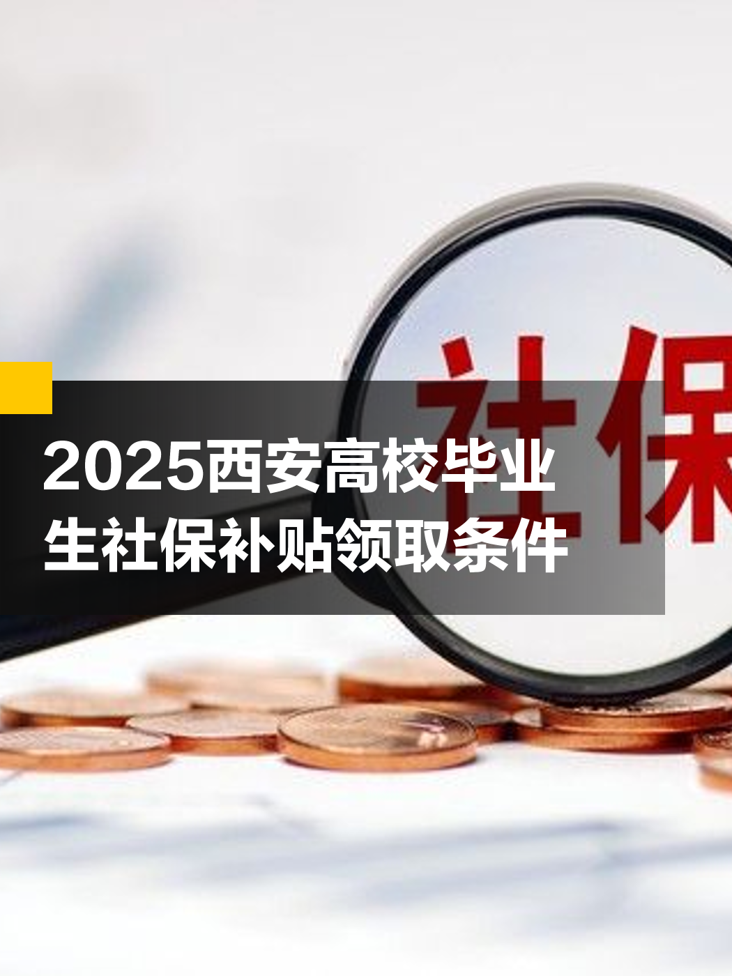 毕业后交社保有什么补贴(毕业后交社保有什么补贴吗)