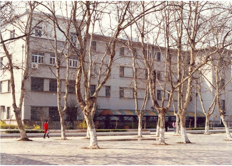 安徽艺术学院毕业后做什么(安徽艺术学院毕业的明星)