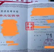 移民香港后大学毕业证(移民香港上学)