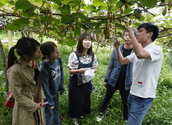 大专毕业后找工作找什么(大专毕业出来找什么工作) 大专毕业后找工作找什么(大专毕业出来找什么工作)