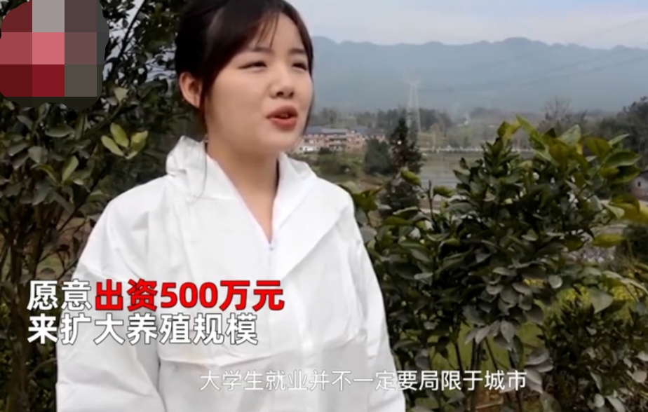 00后大学毕业工作好找吗(00后找工作容易吗)