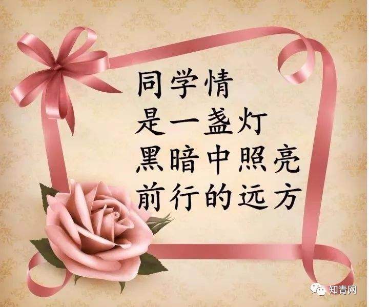 大学毕业后想念同学好吗(大学毕业之后想念大学生活)