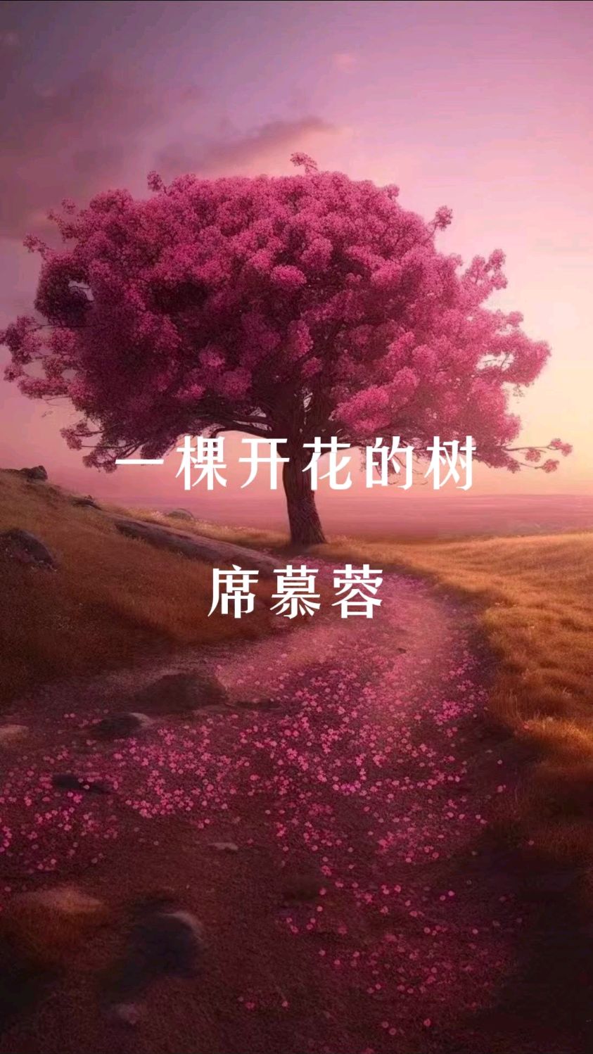 毕业后开花的树有什么(毕业季都开什么花)