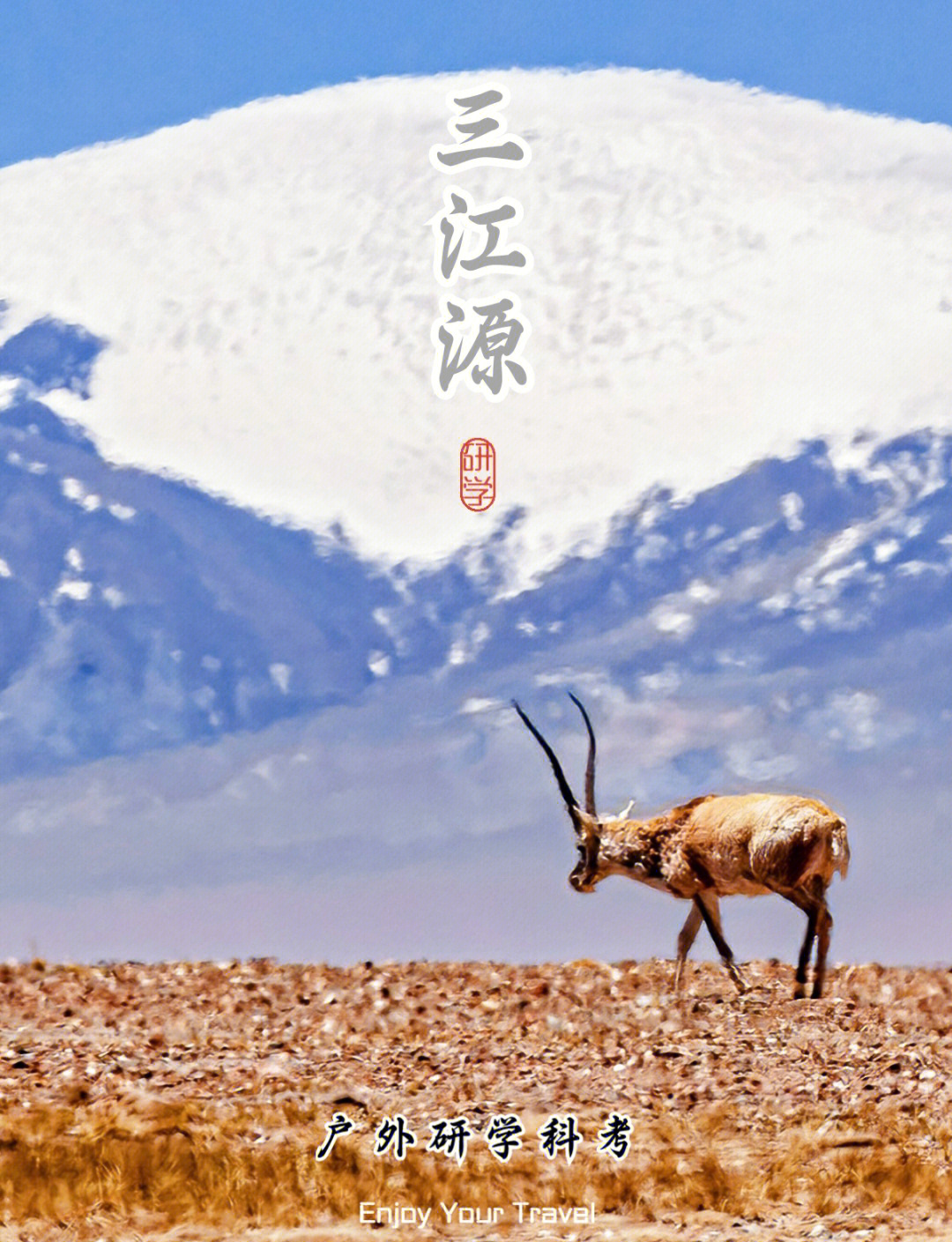 什么专业毕业后探险旅游(以后想去旅游考什么专业)