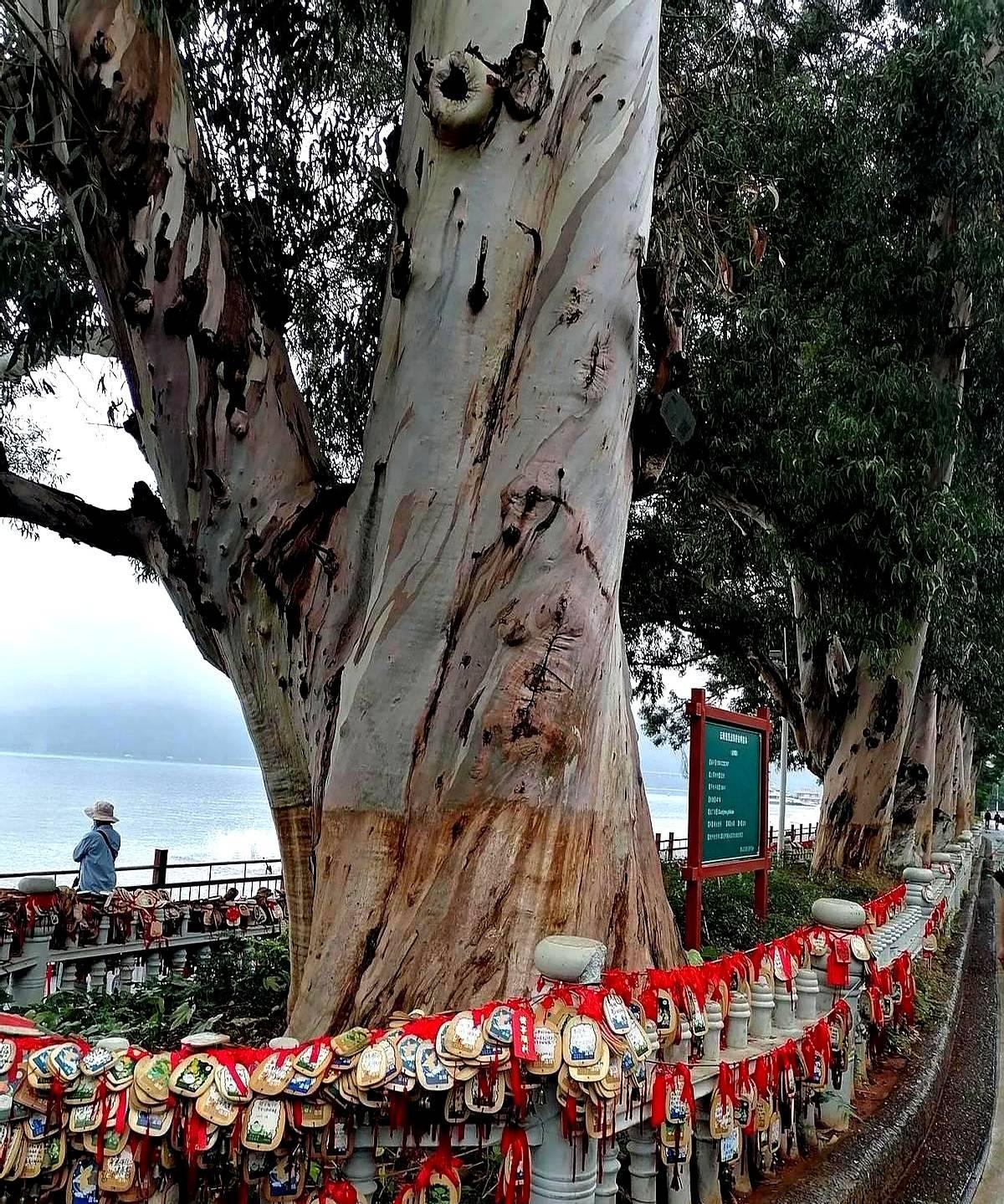 大学毕业后亲戚找到工作(亲戚找的工作) 大学毕业后亲戚找到工作(亲戚找的工作)