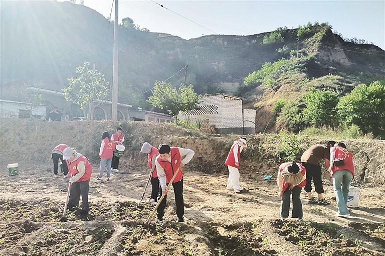大学毕业后农村种地(大学毕业生到农村) 大学毕业后农村种地(大学毕业生到农村)