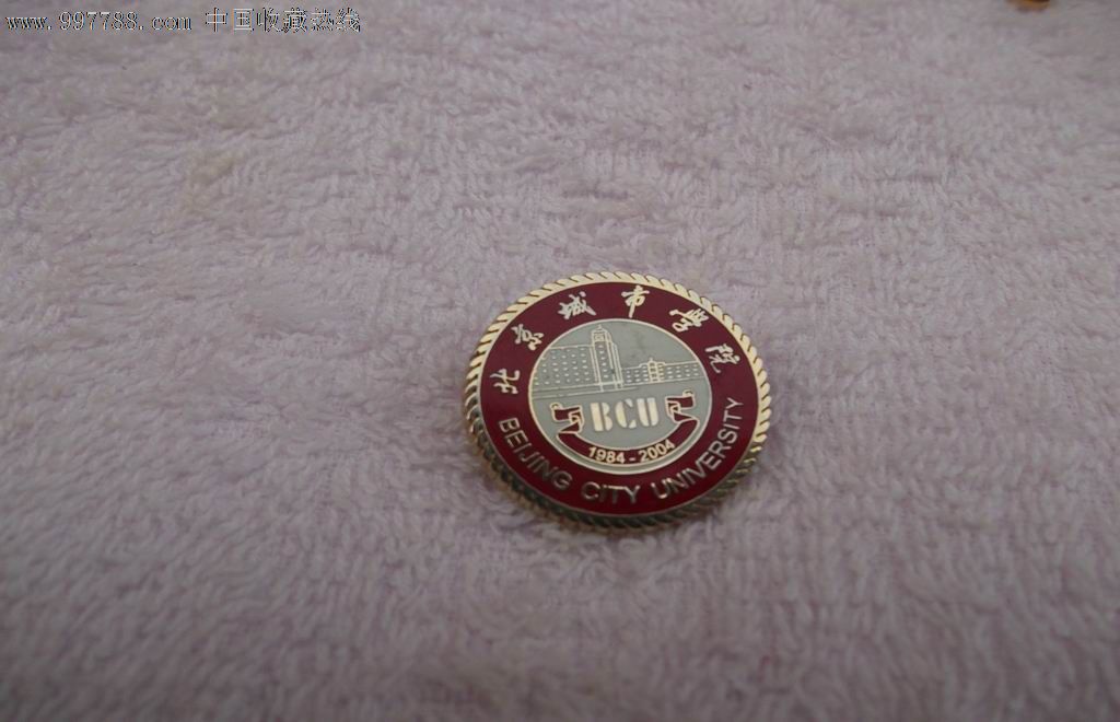 北京城市学院毕业后能进银行吗(北京城市学院毕业后能进银行吗工作)