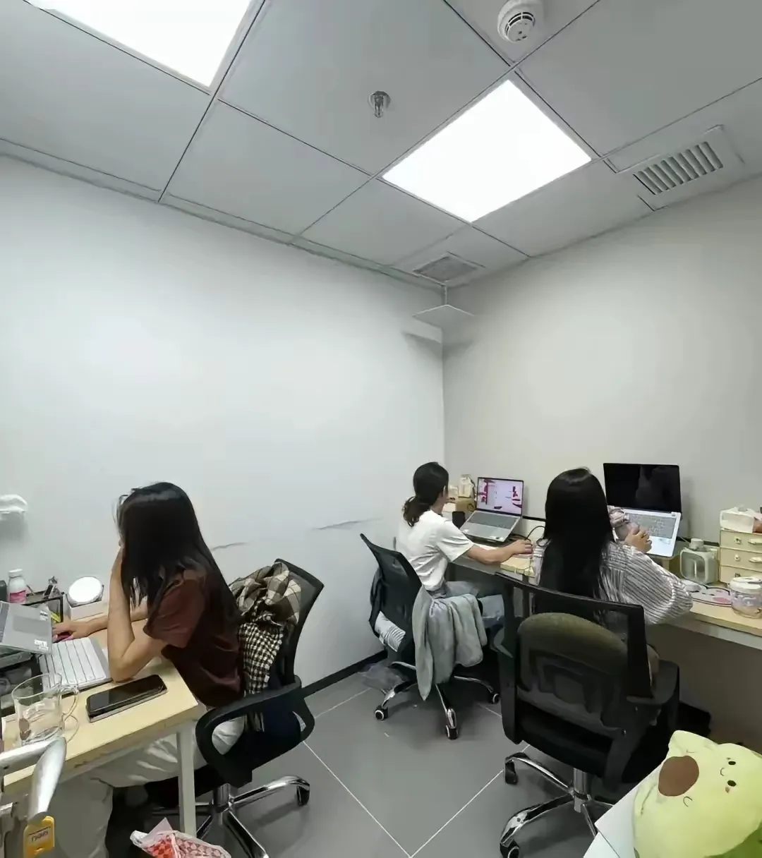 浙江毕业后做什么工作(浙江找什么工作)