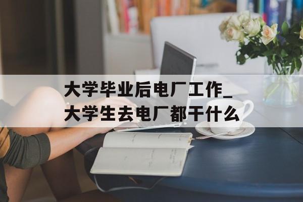 大学毕业后电厂工作_大学生去电厂都干什么