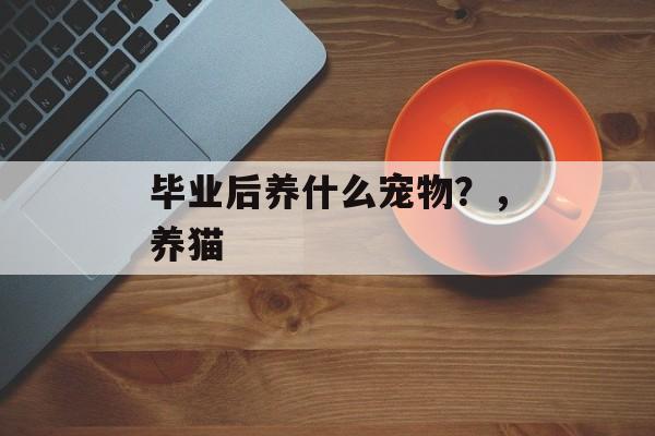 毕业后养什么宠物?,养猫 毕业后养什么宠物?,养猫