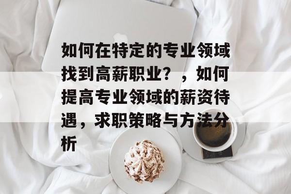 如何在特定的专业领域找到高薪职业？，如何提高专业领域的薪资待遇，求职策略与方法分析