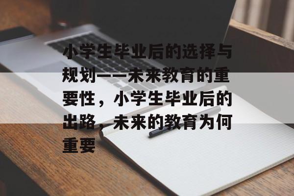 小学生毕业后的选择与规划——未来教育的重要性，小学生毕业后的出路，未来的教育为何重要