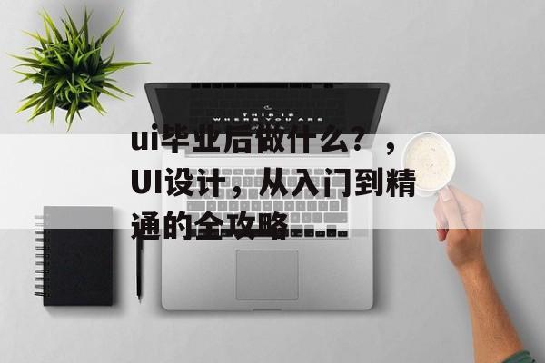 ui毕业后做什么？，UI设计，从入门到精通的全攻略
