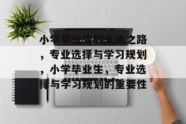小学毕业生的未来之路，专业选择与学习规划，小学毕业生，专业选择与学习规划的重要性