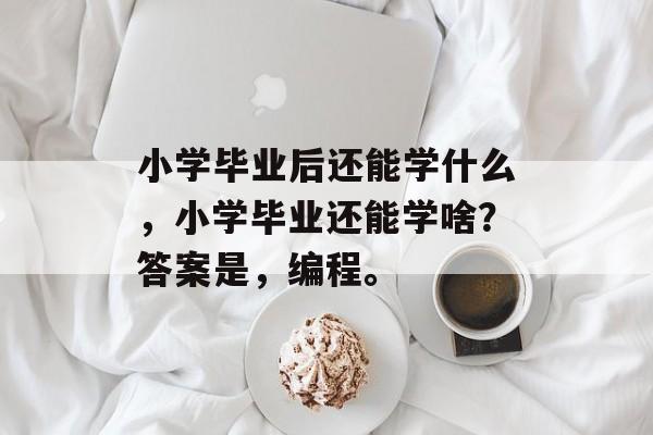 小学毕业后还能学什么，小学毕业还能学啥？答案是，编程。