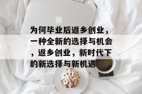 为何毕业后返乡创业，一种全新的选择与机会，返乡创业，新时代下的新选择与新机遇