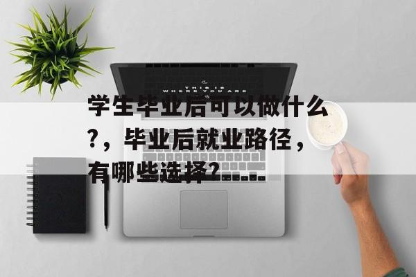 学生毕业后可以做什么?，毕业后就业路径，有哪些选择?