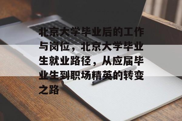北京大学毕业后的工作与岗位，北京大学毕业生就业路径，从应届毕业生到职场精英的转变之路
