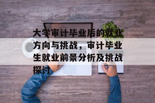 大学审计毕业后的就业方向与挑战,审计毕业生就业前景分析及挑战探讨 大学审计毕业后的就业方向与挑战,审计毕业生就业前景分析及挑战探讨