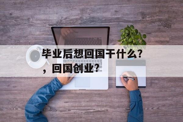 毕业后想回国干什么？，回国创业?