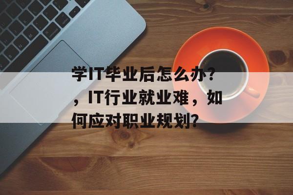 学IT毕业后怎么办?,IT行业就业难,如何应对职业规划? 学IT毕业后怎么办?,IT行业就业难,如何应对职业规划?
