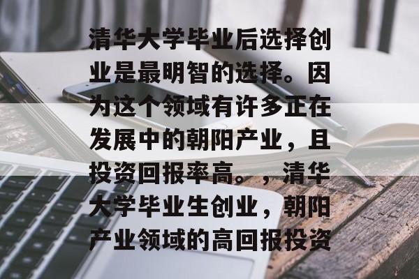清华大学毕业后选择创业是最明智的选择。因为这个领域有许多正在发展中的朝阳产业，且投资回报率高。，清华大学毕业生创业，朝阳产业领域的高回报投资