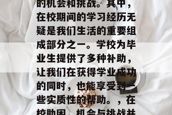 毕业多年，我们的生活中总是充满了各种各样的机会和挑战。其中，在校期间的学习经历无疑是我们生活的重要组成部分之一。学校为毕业生提供了多种补助，让我们在获得学业成功的同时，也能享受到一些实质性的帮助。，在校助困，机会与挑战并存，学校助我学业成功!