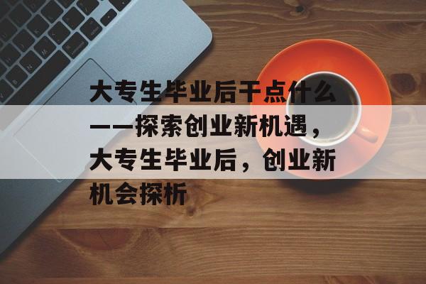 大专生毕业后干点什么——探索创业新机遇，大专生毕业后，创业新机会探析