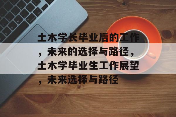 土木学长毕业后的工作,未来的选择与路径,土木学毕业生工作展望,未来选择与路径 土木学长毕业后的工作,未来的选择与路径,土木学毕业生工作展望,未来选择与路径