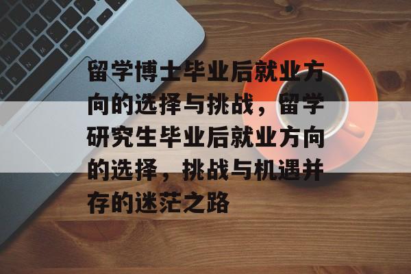 留学博士毕业后就业方向的选择与挑战，留学研究生毕业后就业方向的选择，挑战与机遇并存的迷茫之路