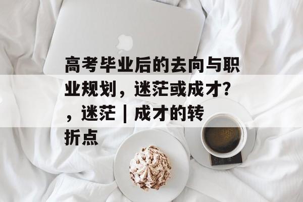 高考毕业后的去向与职业规划，迷茫或成才？，迷茫 | 成才的转折点