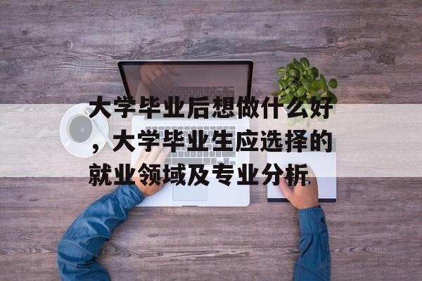 大学毕业后想做什么好，大学毕业生应选择的就业领域及专业分析