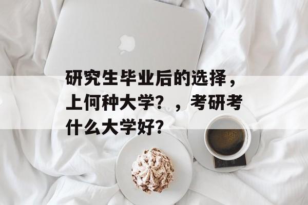 研究生毕业后的选择,上何种大学?,考研考什么大学好? 研究生毕业后的选择,上何种大学?,考研考什么大学好?