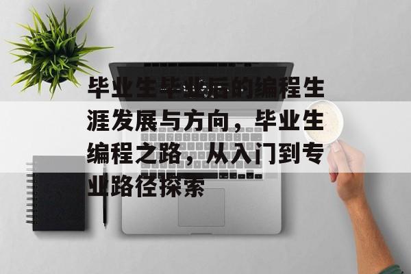 毕业生毕业后的编程生涯发展与方向，毕业生编程之路，从入门到专业路径探索