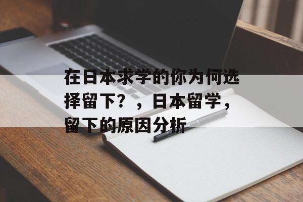 在日本求学的你为何选择留下？，日本留学，留下的原因分析
