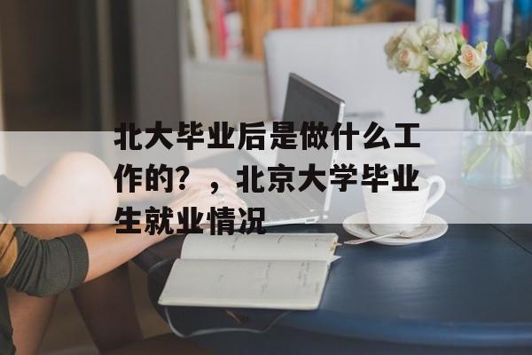 北大毕业后是做什么工作的?,北京大学毕业生就业情况 北大毕业后是做什么工作的?,北京大学毕业生就业情况