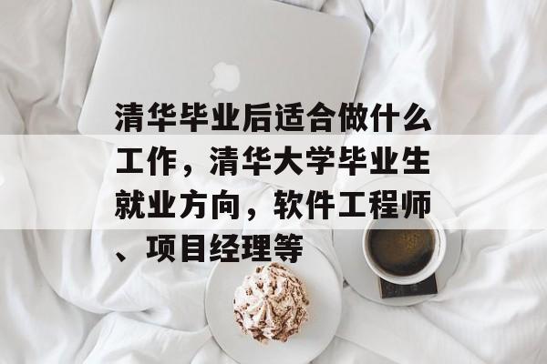 清华毕业后适合做什么工作，清华大学毕业生就业方向，软件工程师、项目经理等