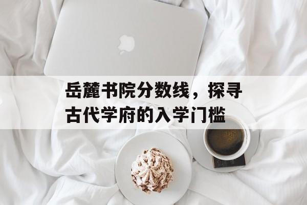 岳麓书院分数线，探寻古代学府的入学门槛