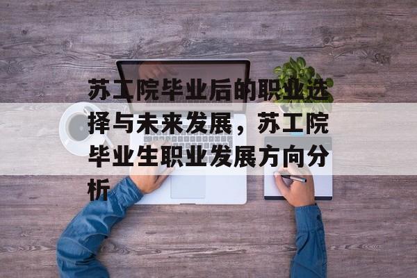 苏工院毕业后的职业选择与未来发展，苏工院毕业生职业发展方向分析