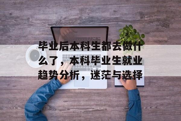 毕业后本科生都去做什么了，本科毕业生就业趋势分析，迷茫与选择