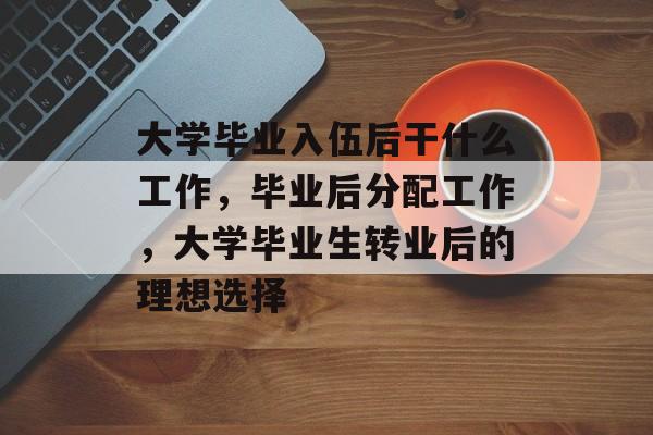 大学毕业入伍后干什么工作，毕业后分配工作，大学毕业生转业后的理想选择
