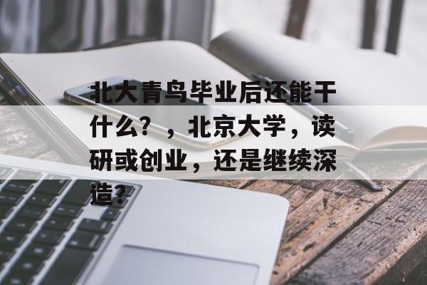 北大青鸟毕业后还能干什么？，北京大学，读研或创业，还是继续深造？