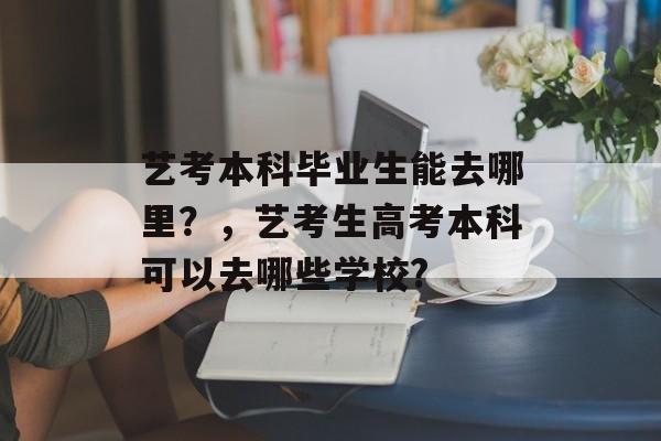 艺考本科毕业生能去哪里？，艺考生高考本科可以去哪些学校?
