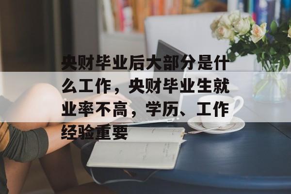 央财毕业后大部分是什么工作，央财毕业生就业率不高，学历、工作经验重要